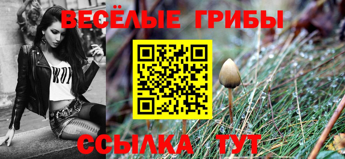 Галлюциногенные грибы Psilocybe Электрогорск