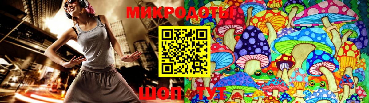 закладки  Галлюциногенные грибы Psilocybine cubensis  Вход с VPN  Электрогорск 